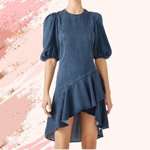 Amur Blue Emery Women's Denim Shift Ruffle Hem Dress